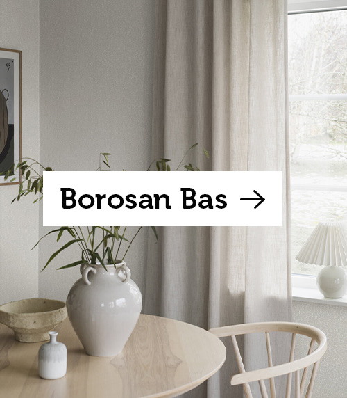 BorosanBas2023