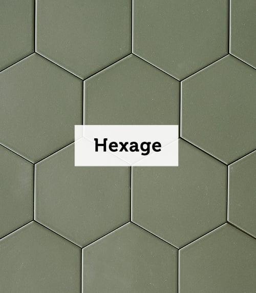 Hexage-1
